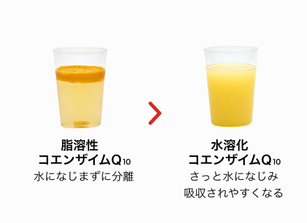 脂溶性コエンザイムQ10 水になじまずに分離　> 水溶化コエンザイムQ10　さっと水になじむ