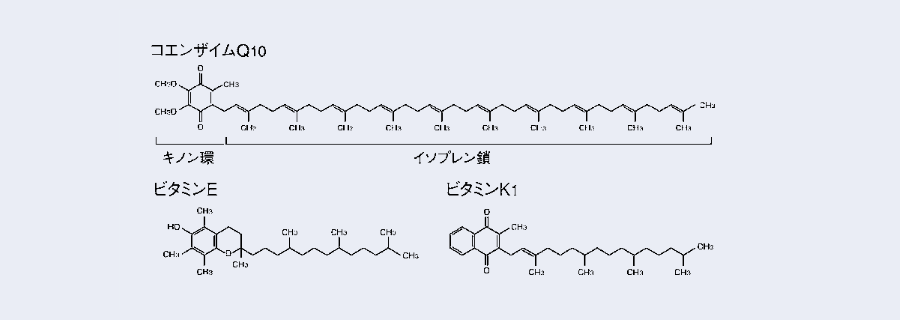 コエンザイムQ10,ビタミンE,ビタミンK1