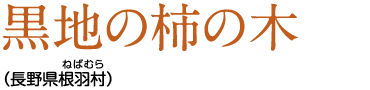 黒地の柿の木