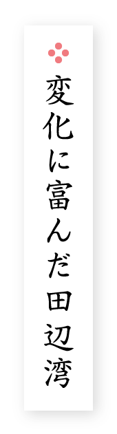 変化に富んだ田辺湾