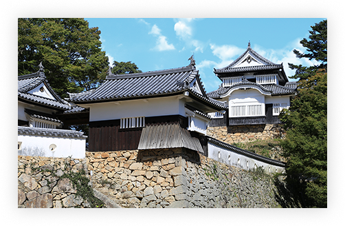 山城、平山城、平城とは?