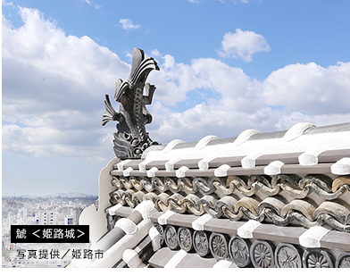 鯱 ＜姫路城＞写真提供／姫路市