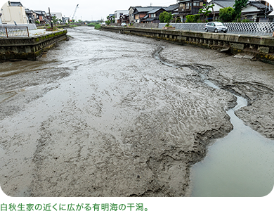 白秋生家の近くに広がる有明海の干潟。