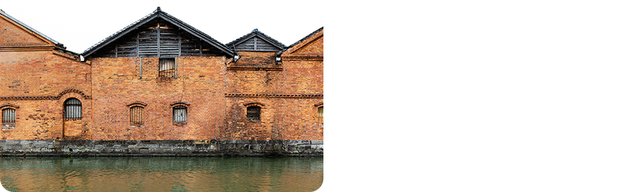 橋ぎはの醤油並蔵西日さし水路は埋む薹灣藻の花