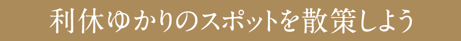 利休ゆかりのスポットを散策しよう